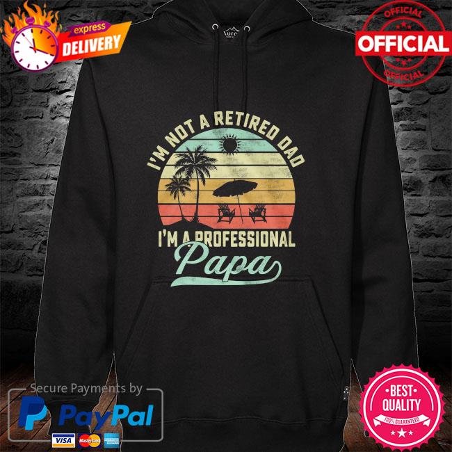 I'm not a retired dad I'm a professional pap vintage hoodie