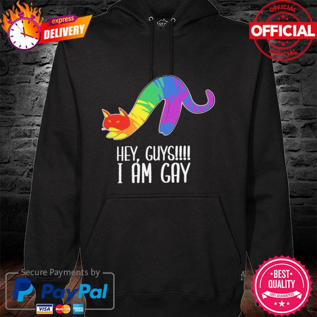 LGBT Cat hey guys I'm gay hoodie