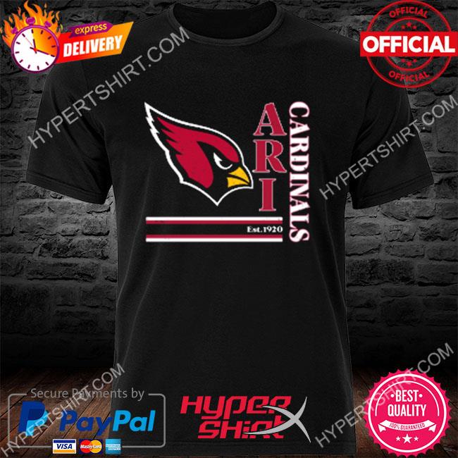 Arizona Cardinals Lines Logo Sport 2023 Shirt - Shibtee Clothing