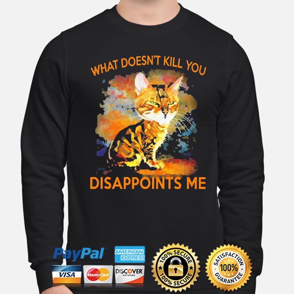 What Doesn't Kill You Disappoints Me Youth & Mens Sweatshirt